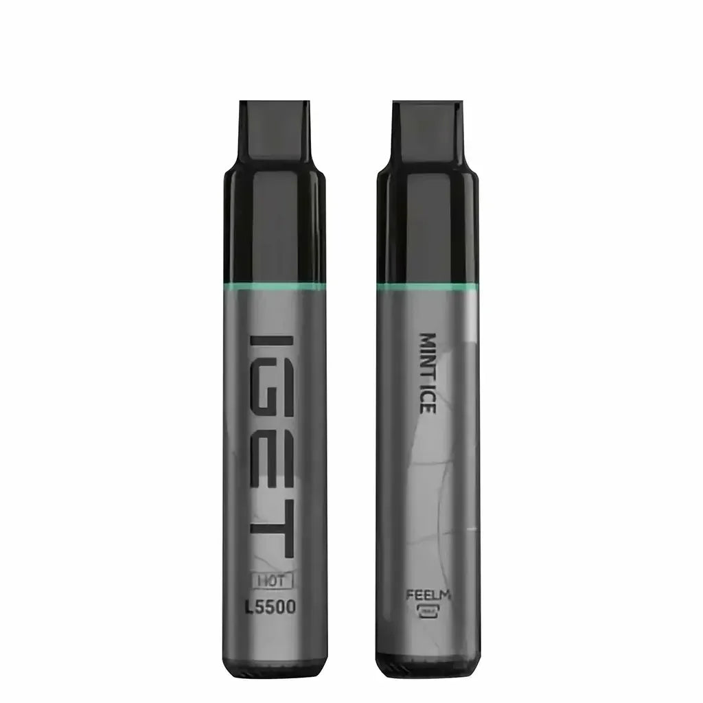 IGET Hot Mint Ice 5500 Puffs - Ali Barbar Vaping