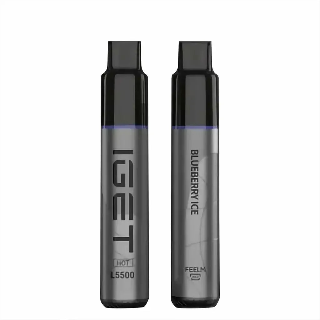 IGET Hot Blueberry Ice 5500 Puffs - Ali Barbar Vaping