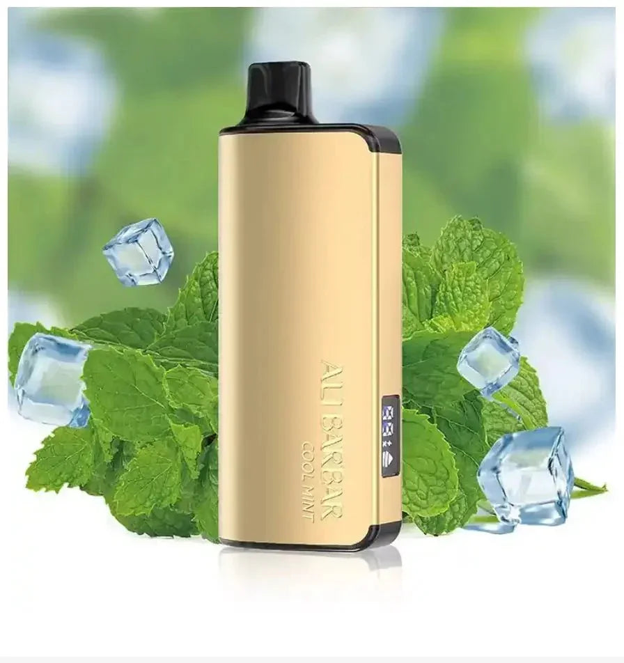 Alibarbar Ingot 9000 Cool Mint - Ali Barbar Vaping